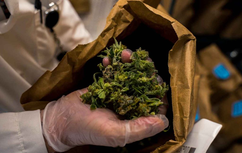 Medical Cannabis Pharmacy