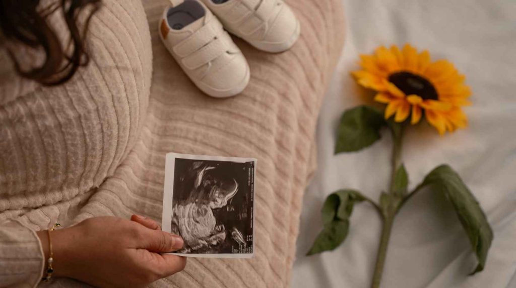 מוצרי הריון ומוצרי לידה